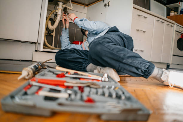 Best Affordable Plumbing Services  in Wapello, IA