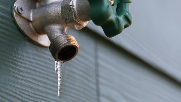 Best Emergency Plumbing Repair  in Wapello, IA