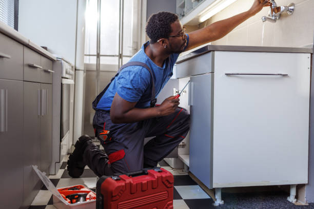 Best Plumbing Services Near Me  in Wapello, IA